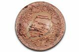 Polished Saharan Desert Jasper Dish - Morocco #349408-1